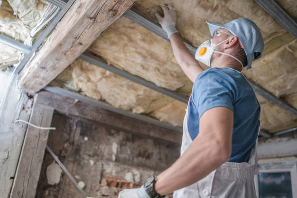 Best Blown-in Insulation in Cordele, GA